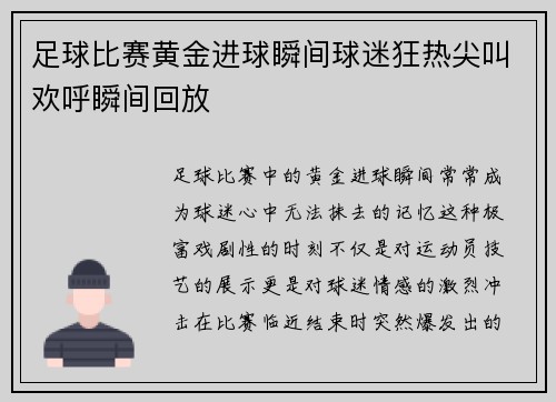 足球比赛黄金进球瞬间球迷狂热尖叫欢呼瞬间回放